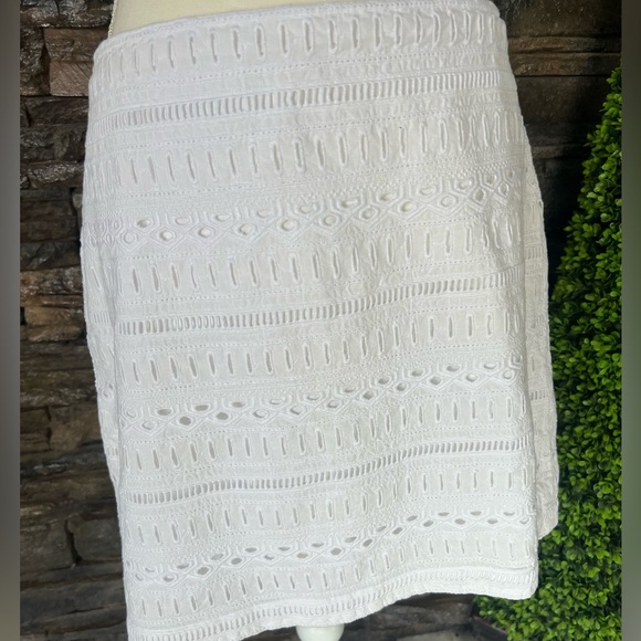 GAP Elegant White Eyelet A-Line Skirt - Picture 12 of 14